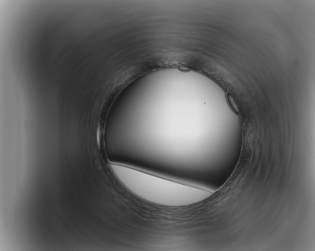 X0000096170076200801180838