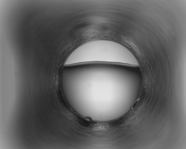 X0000096170077200801180838