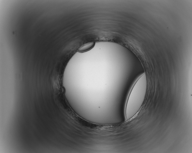 X0000096170078200801180838
