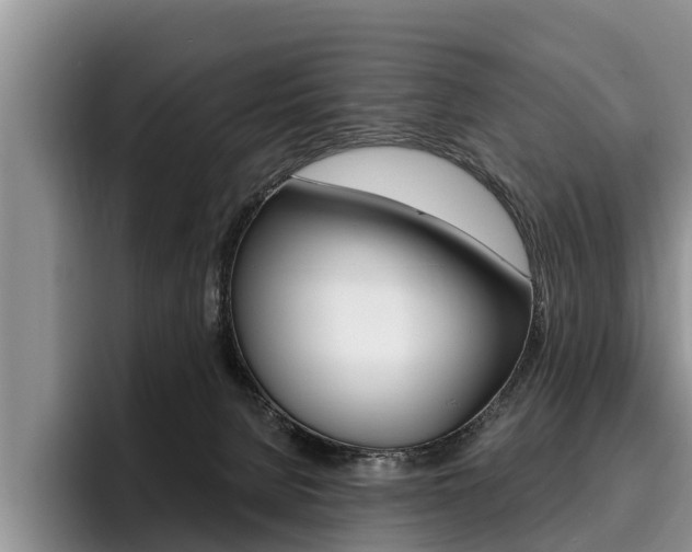X0000096170080200801180838