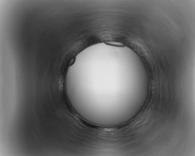 X0000096170081200801180838