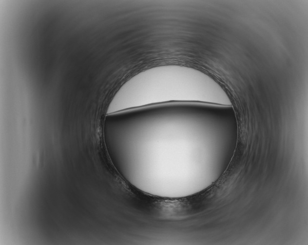 X0000096170085200801180838