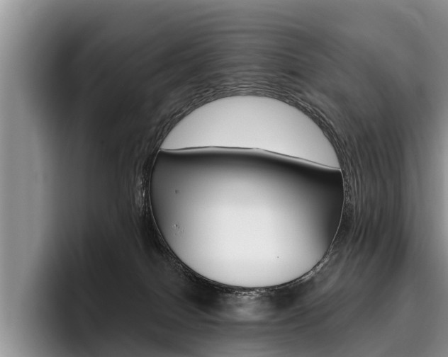 X0000096170086200801180838