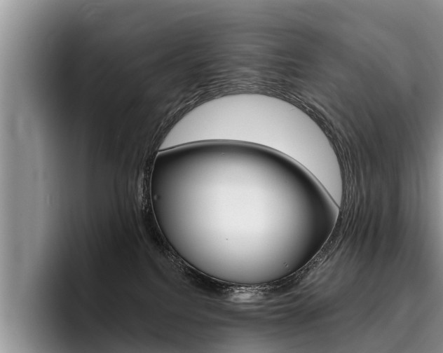 X0000096170088200801180839