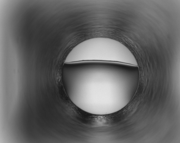 X0000096170091200801180839