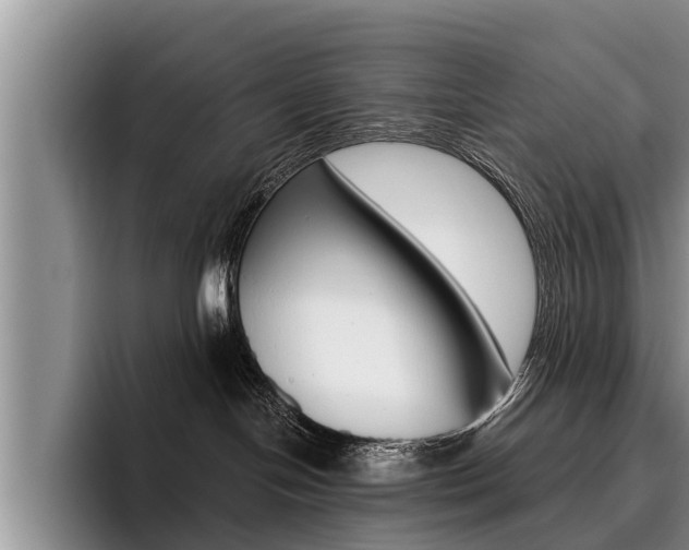 X0000096170094200801180839