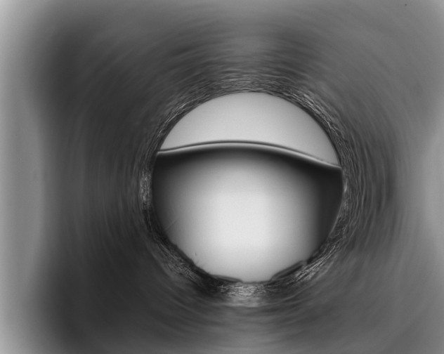X0000096170096200801180839