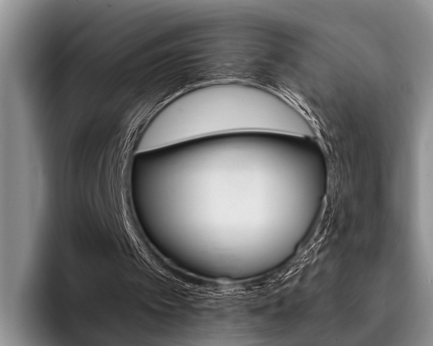 X0000096170097200801180838