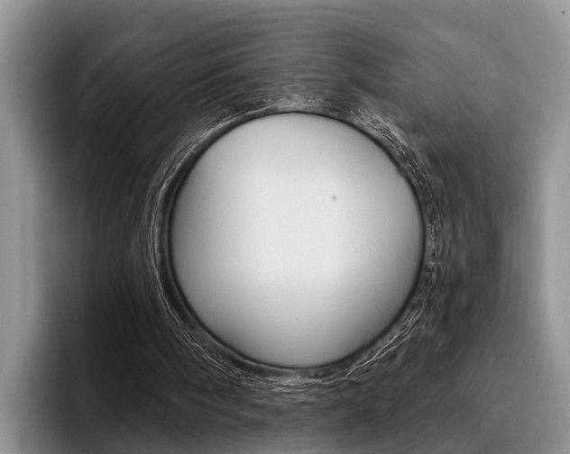 X0000096170098200801180838