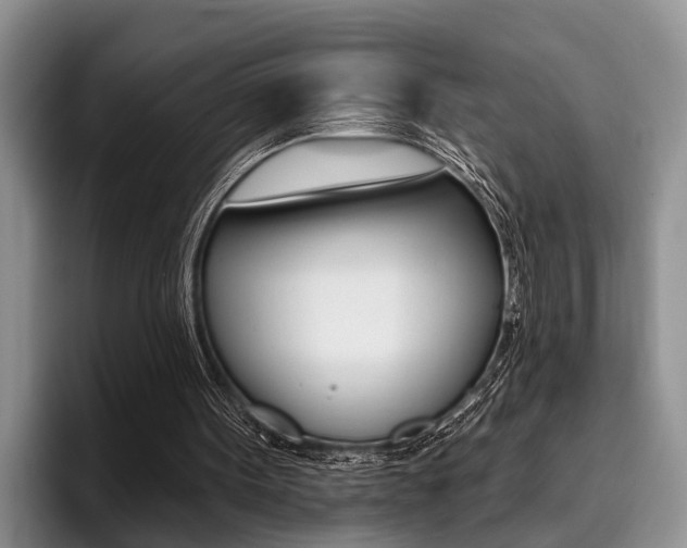 X0000096170099200801180838