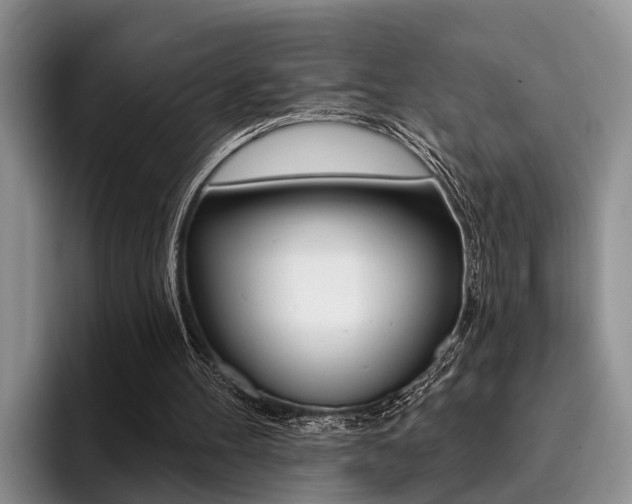X0000096170100200801180838