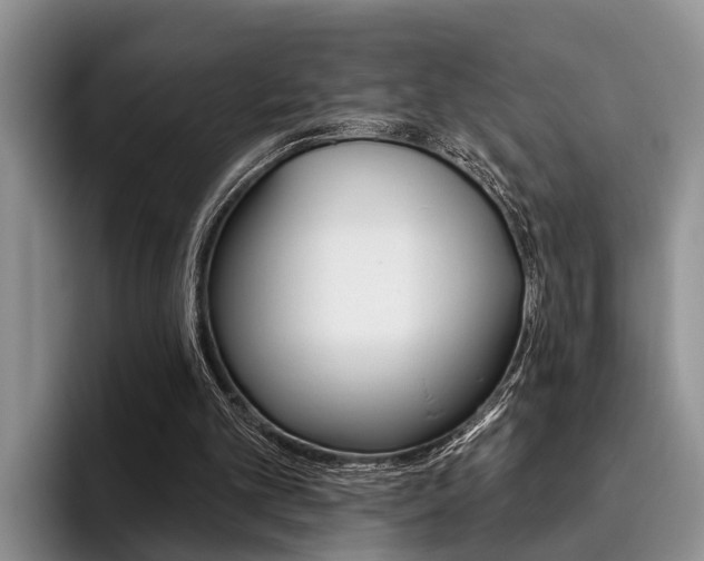 X0000096170101200801180838