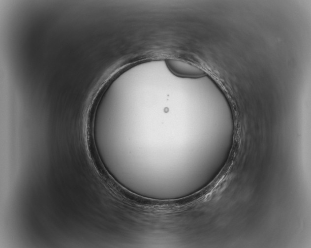 X0000096170103200801180838