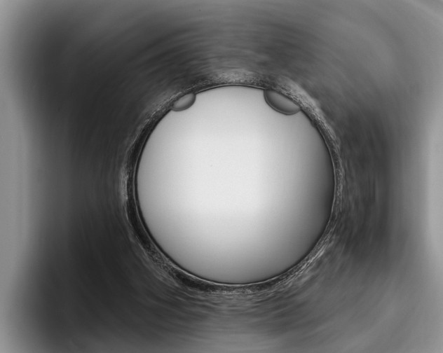 X0000096170106200801180838