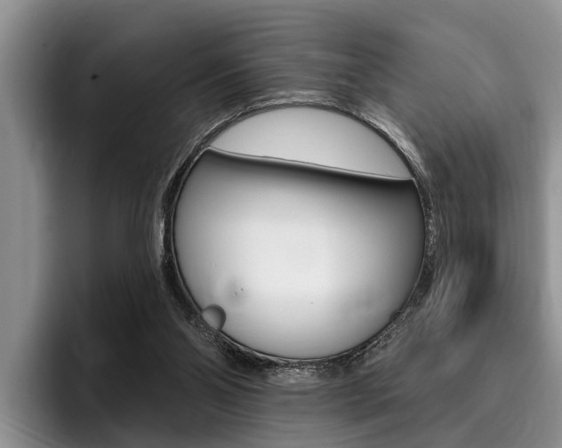 X0000096170110200801180838