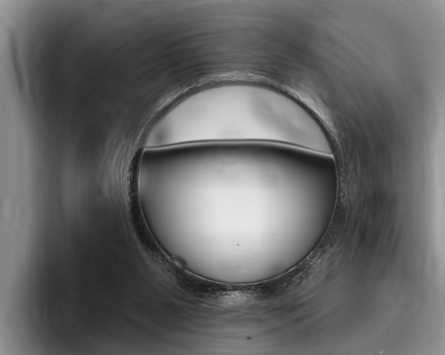 X0000096170111200801180838