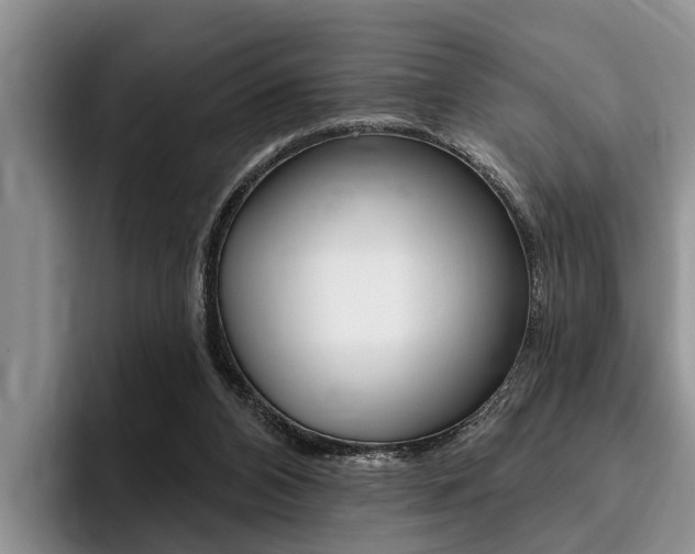X0000096170112200801180838