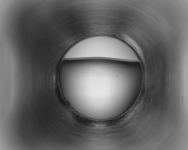 X0000096170113200801180838