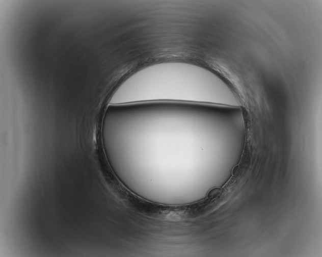 X0000096170115200801180838