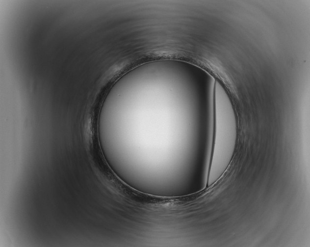X0000096170116200801180838