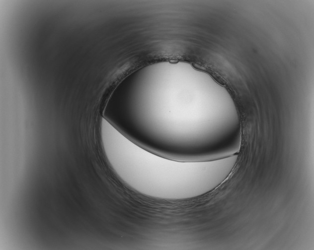 X0000096170120200801180838