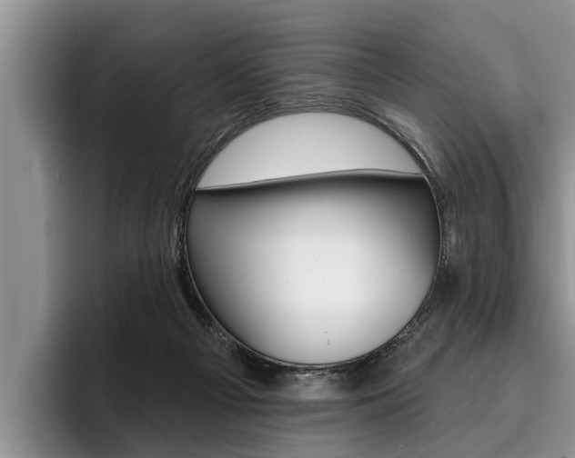 X0000096170121200801180838