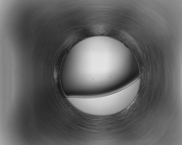 X0000096170124200801180838