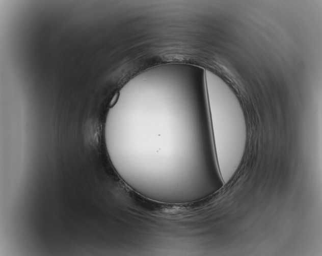 X0000096170125200801180838