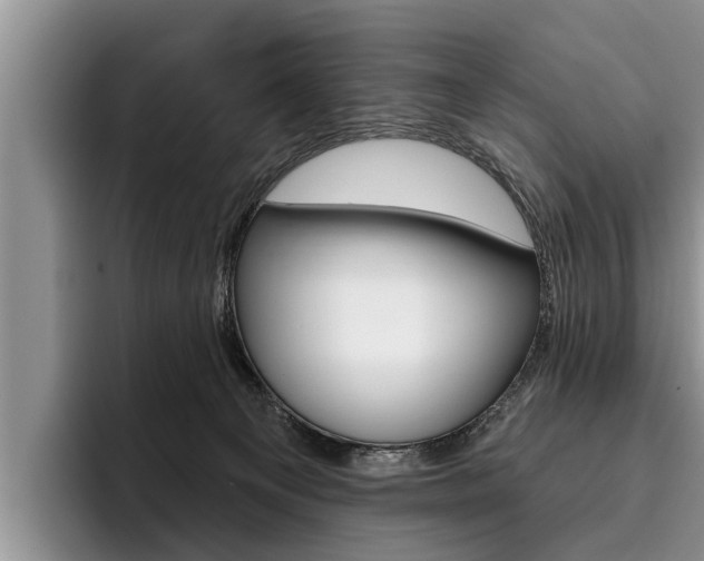 X0000096170129200801180838