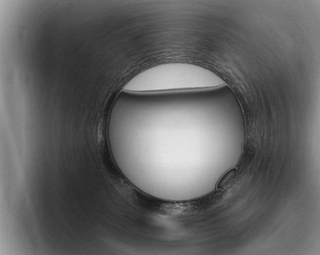 X0000096170131200801180838