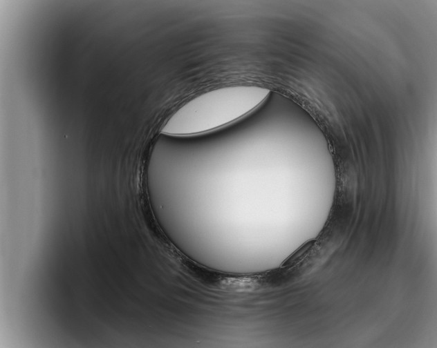 X0000096170133200801180838