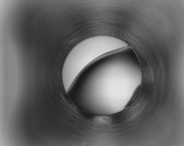 X0000096170137200801180837