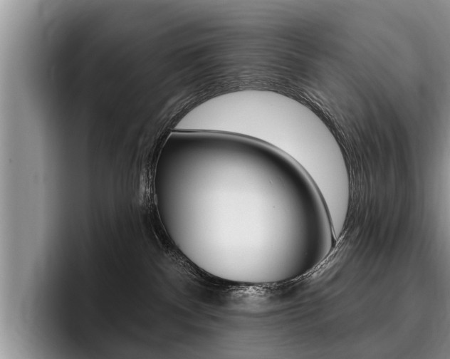 X0000096170140200801180837