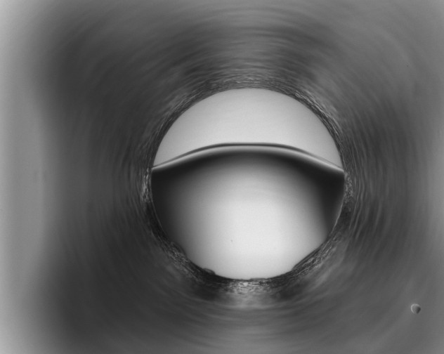 X0000096170141200801180837
