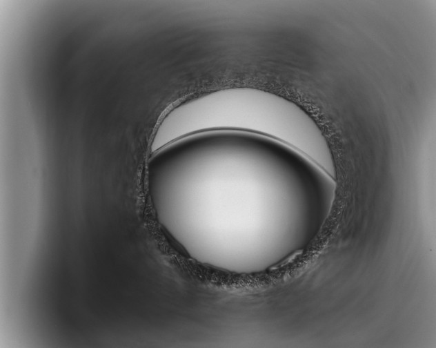X0000096170144200801180837