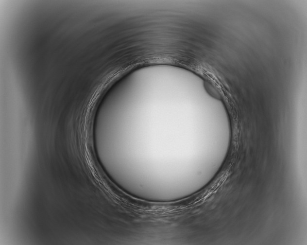 X0000096170145200801180837