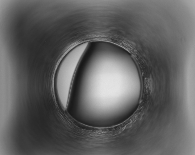 X0000096170148200801180837