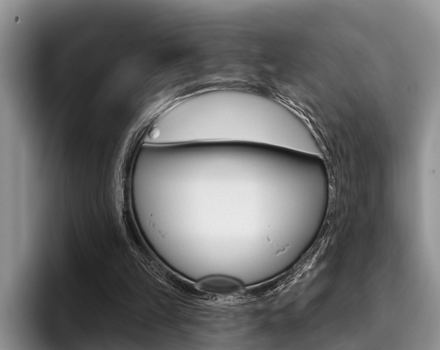 X0000096170149200801180837