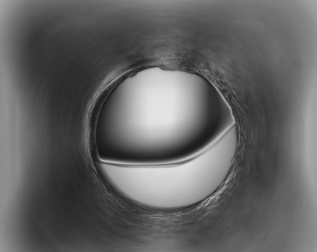 X0000096170150200801180837
