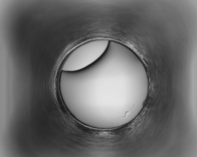 X0000096170151200801180837