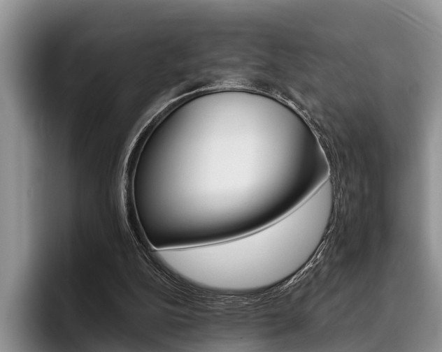 X0000096170152200801180837