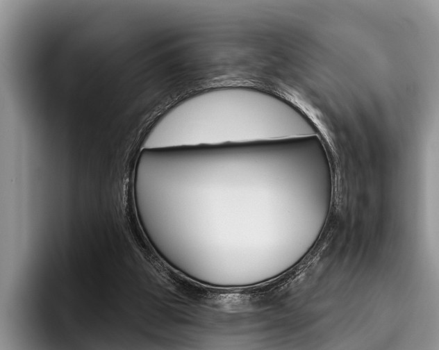 X0000096170153200801180837