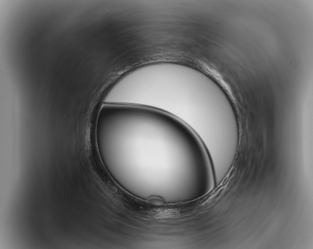 X0000096170154200801180837