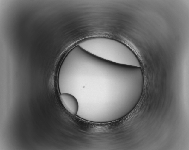 X0000096170155200801180837