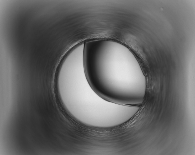 X0000096170156200801180837