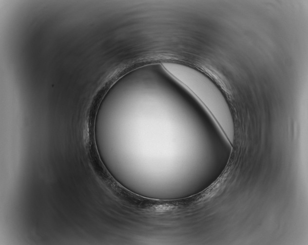 X0000096170158200801180837