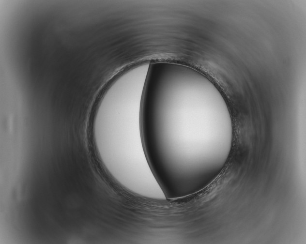 X0000096170160200801180837