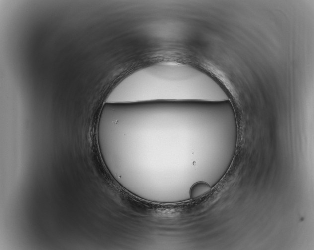 X0000096170161200801180837