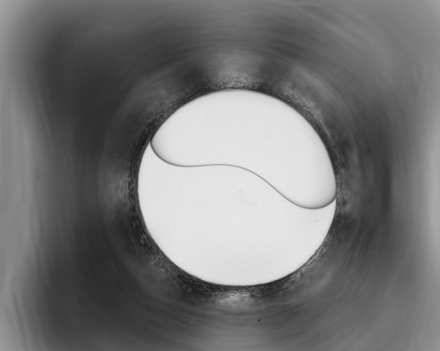 X0000096170162200801180837