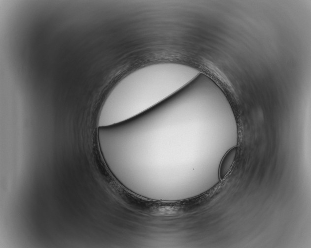 X0000096170163200801180837